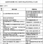 智慧工地通过审核并入选绿色工地,最高补贴100万-南京12家入围